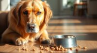 dog fasting duration limits