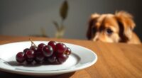 grape toxicity in dogs