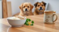 home remedy for dog diarrhea