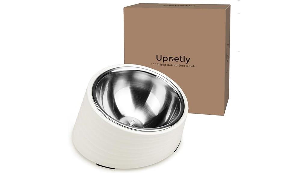 angled dog bowl stand