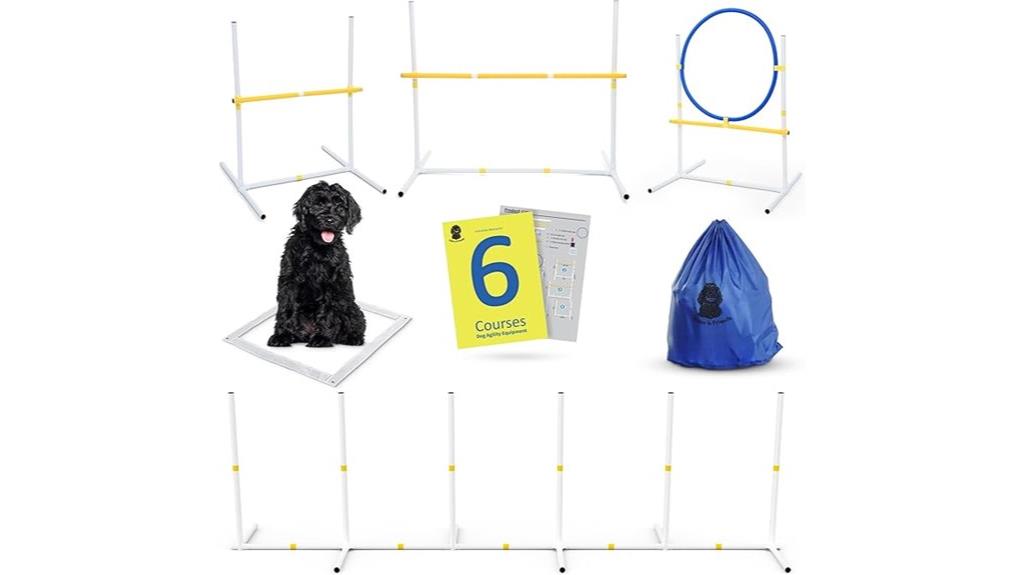 backyard dog agility set