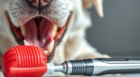 brushing vs chewing dental