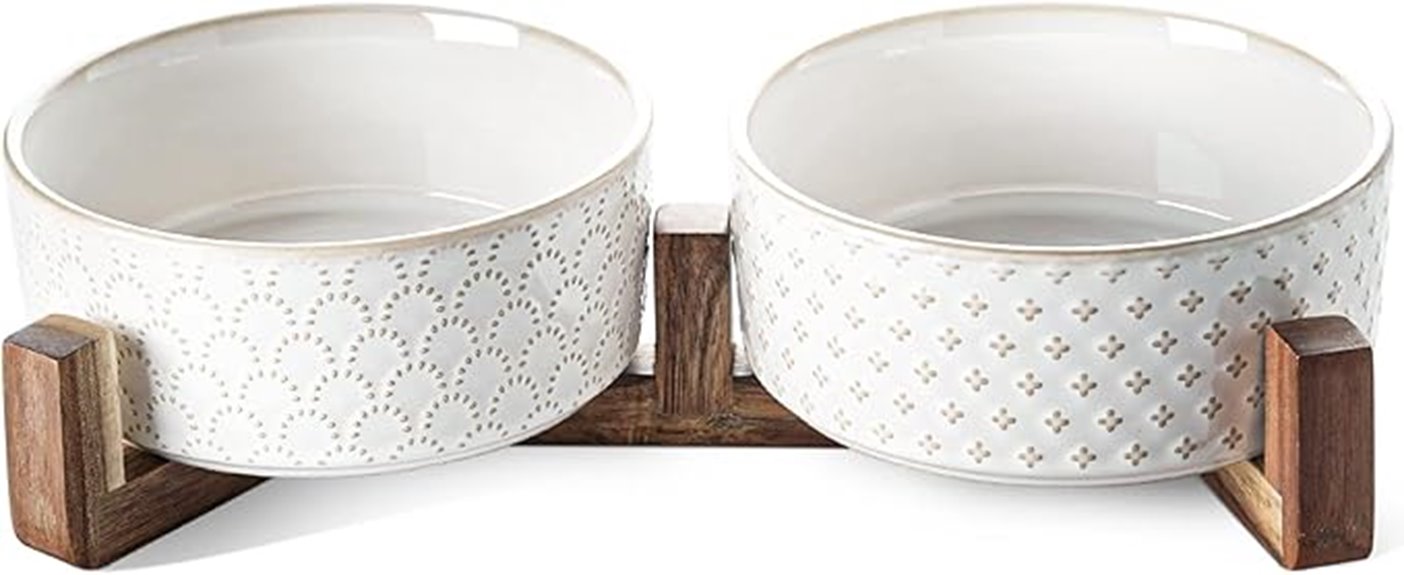 ceramic bowls for dogs