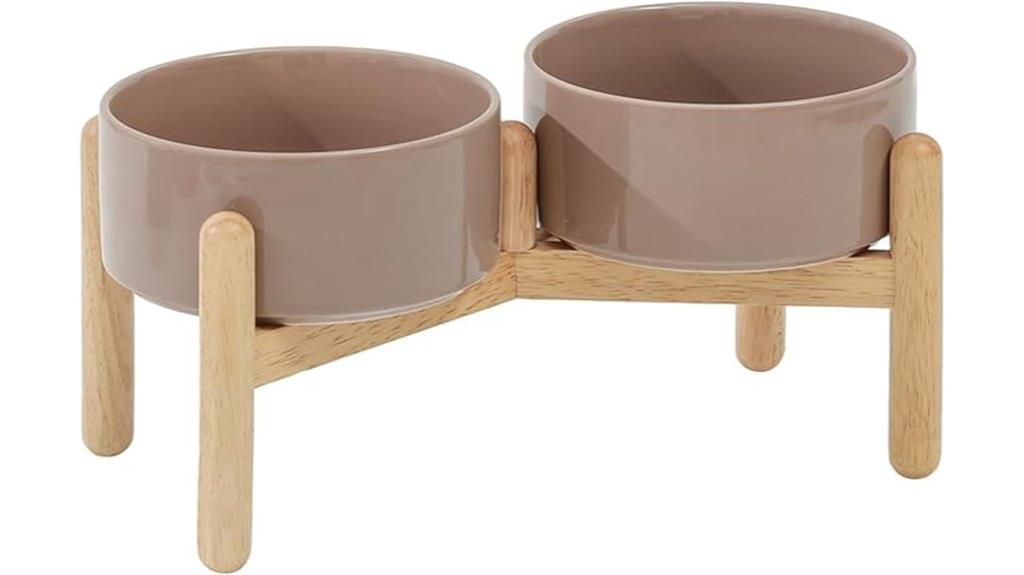 ceramic dog bowl stand
