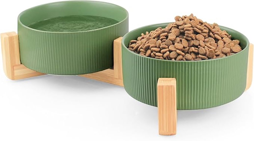 ceramic pet bowl set