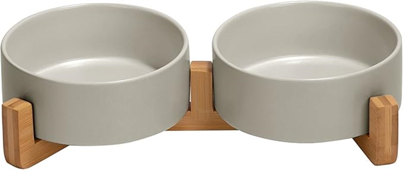 ceramic pet bowls stand