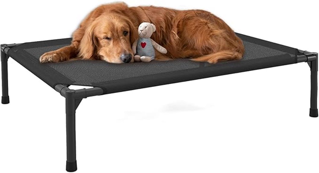 chew proof dog bed