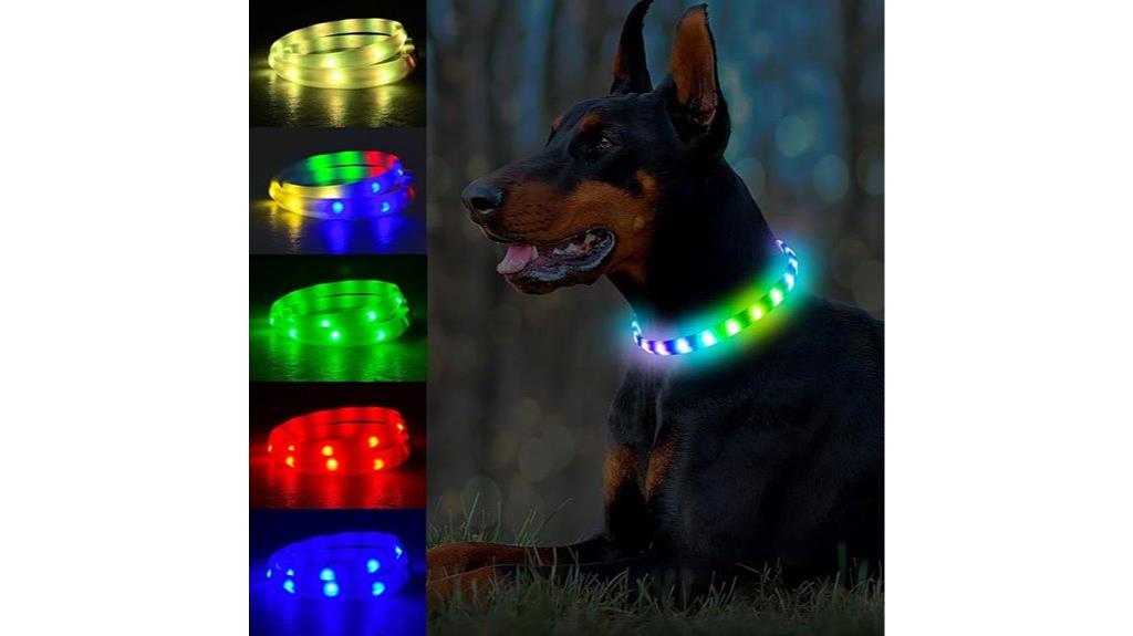 colorful led dog collar