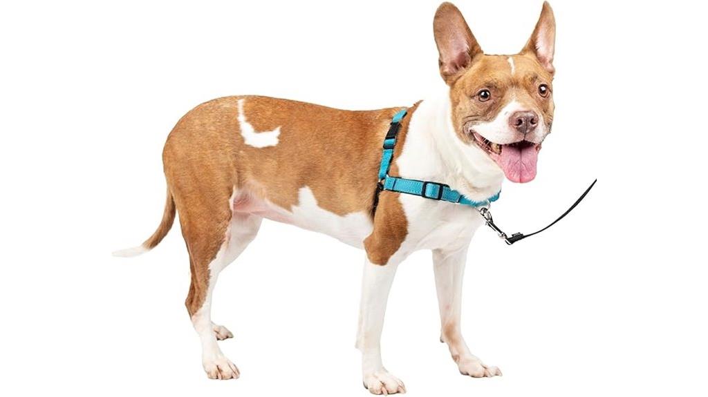 comfortable adjustable dog harness