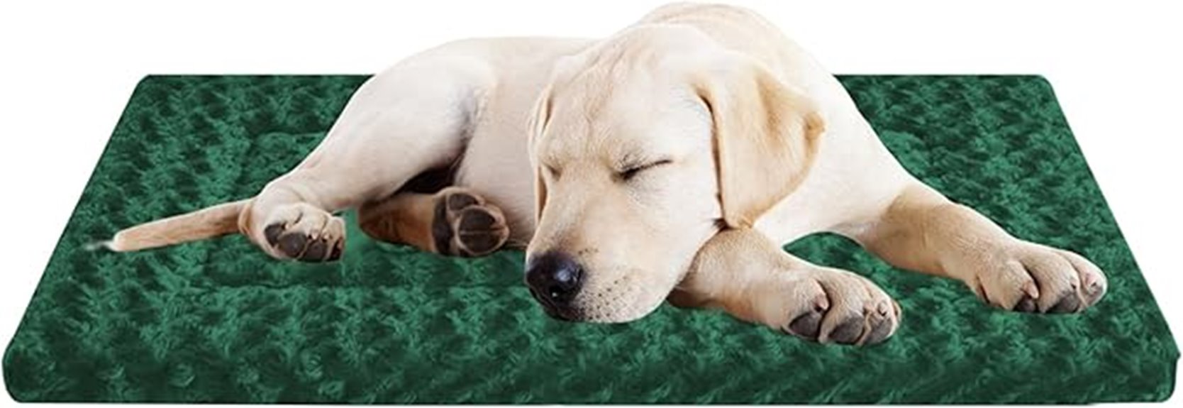 comfortable medium sized dog beds