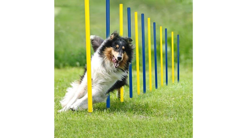 complete 12 piece agility kit