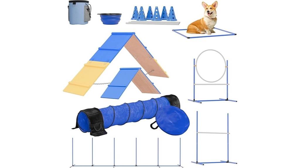 complete dog agility course