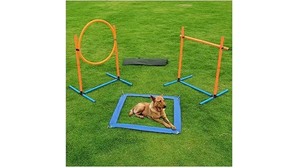 complete dog agility kit