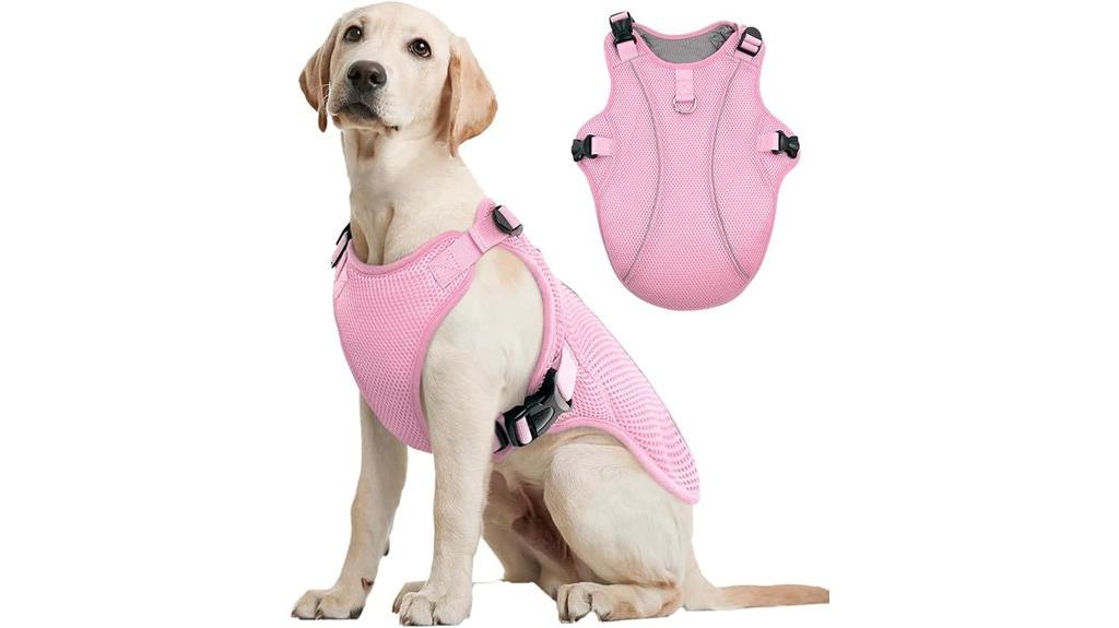 cooling vest for large dogs