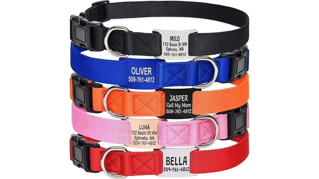 custom dog collar nameplate