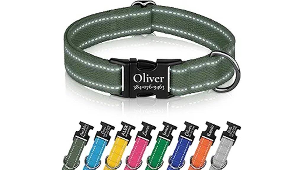 custom engraved dog collar