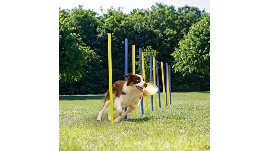 dog agility hurdle set