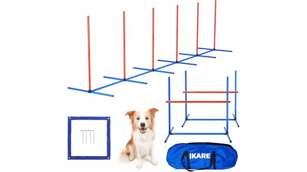 dog agility training set