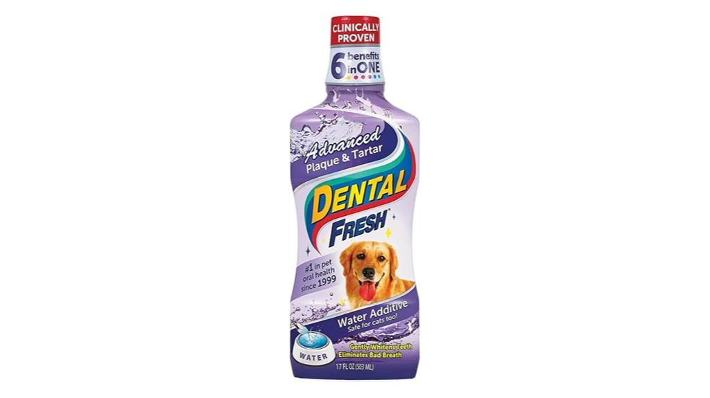 dog and cat oral hygiene