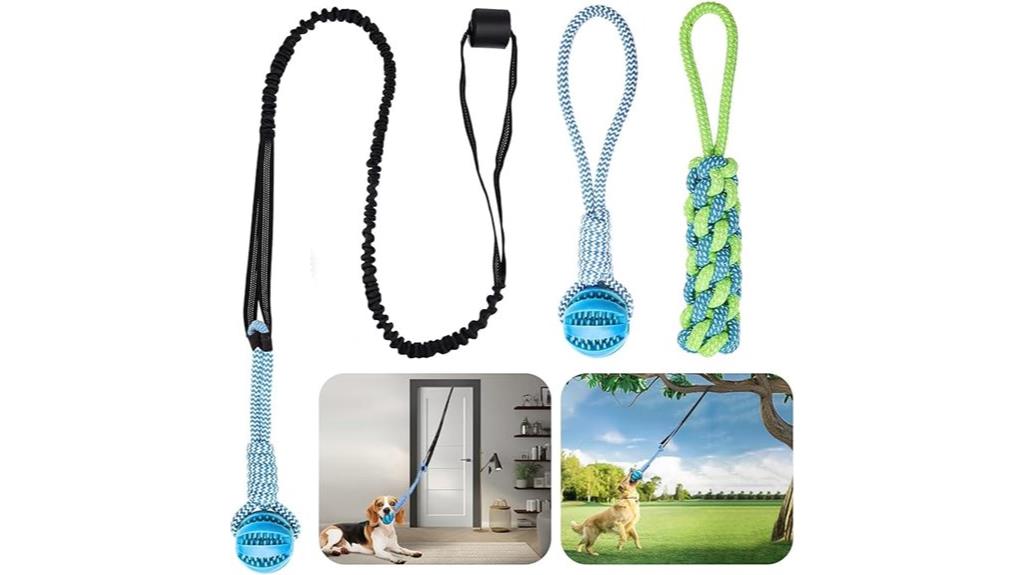 dog bungee rope toy