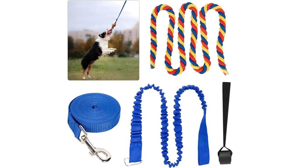 dog bungee tug toy