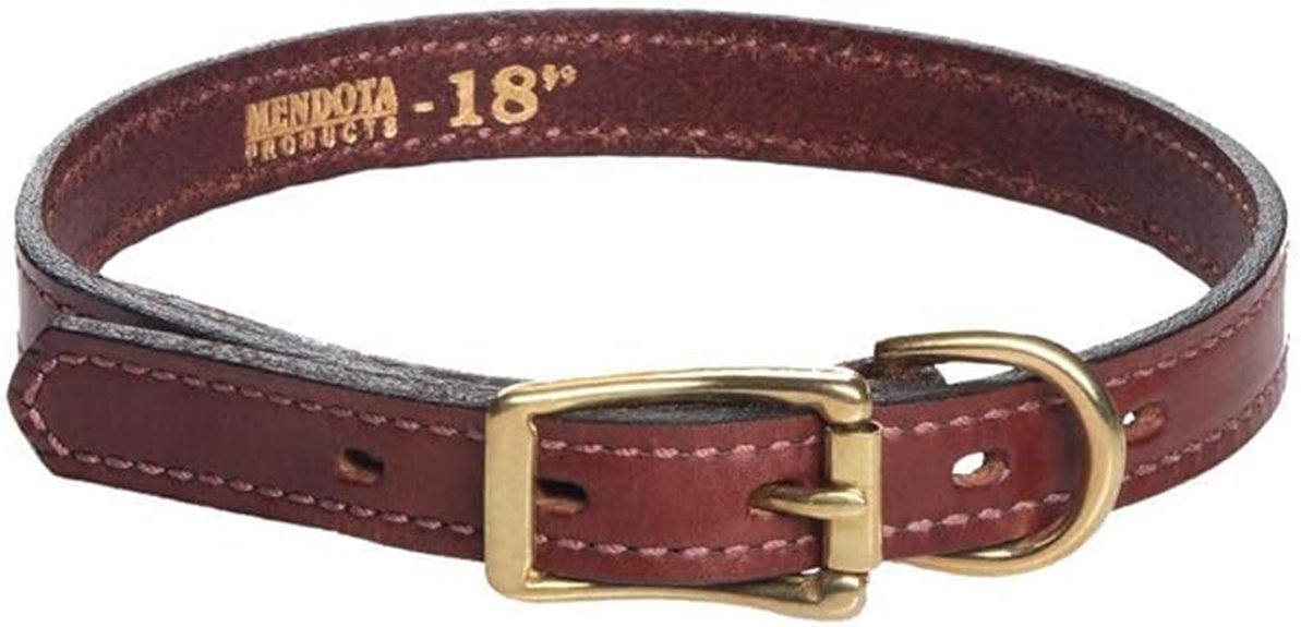 dog collar with leather