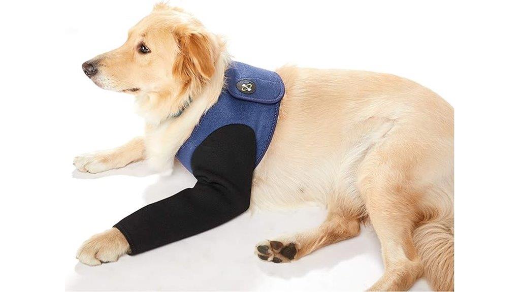 dog injury recovery wear