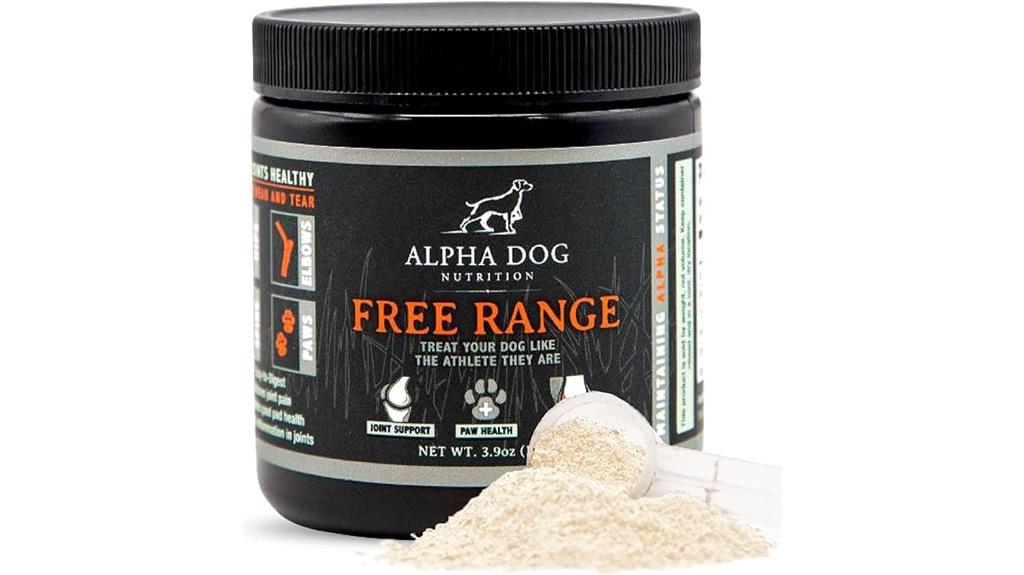 dog joint health supplement
