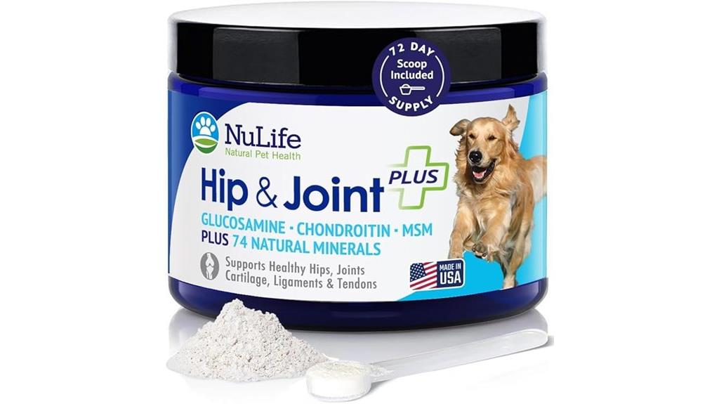dog joint health supplement