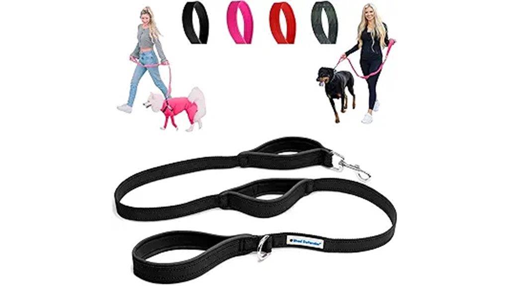 dog leash with traffic handles