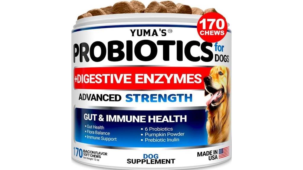 dog probiotics and enzymes