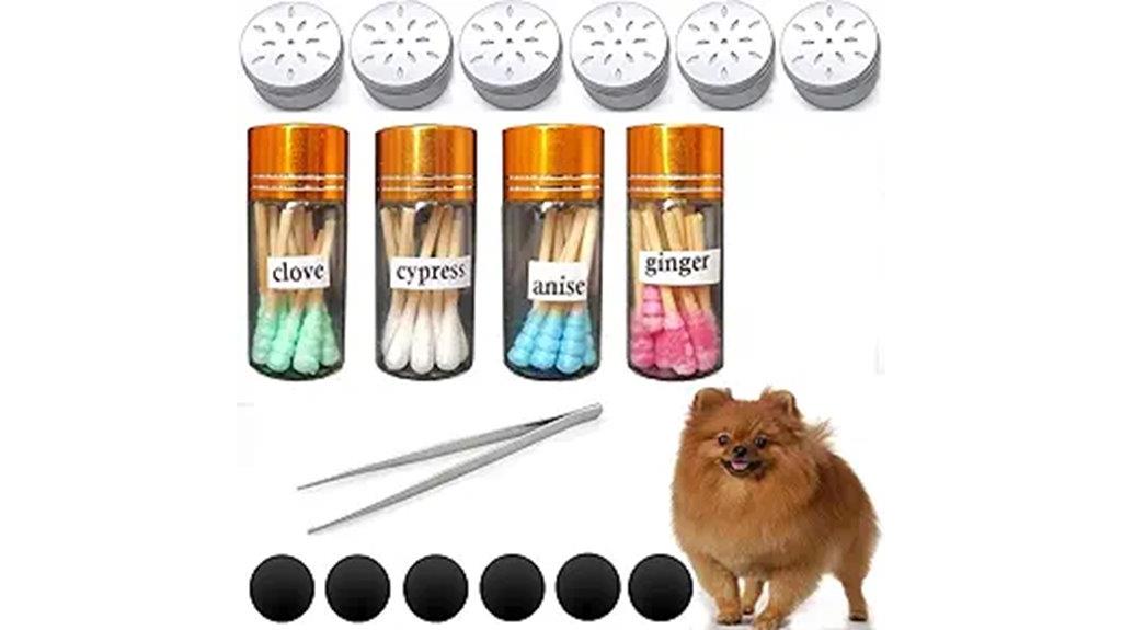 dog scent work starter kit