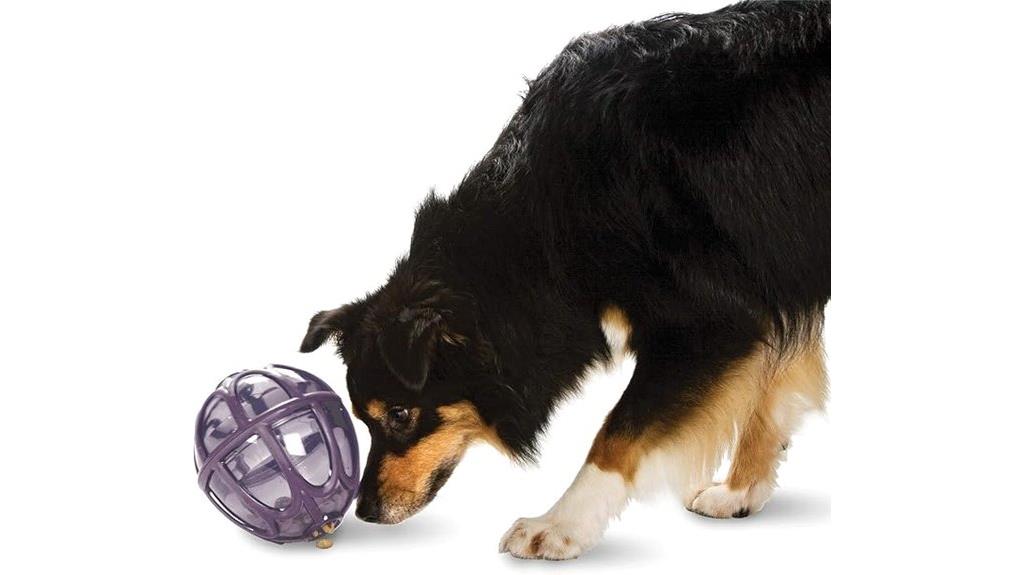 dog toy treat dispenser