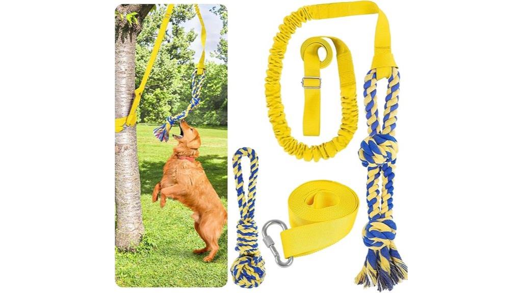 dog toy with rope