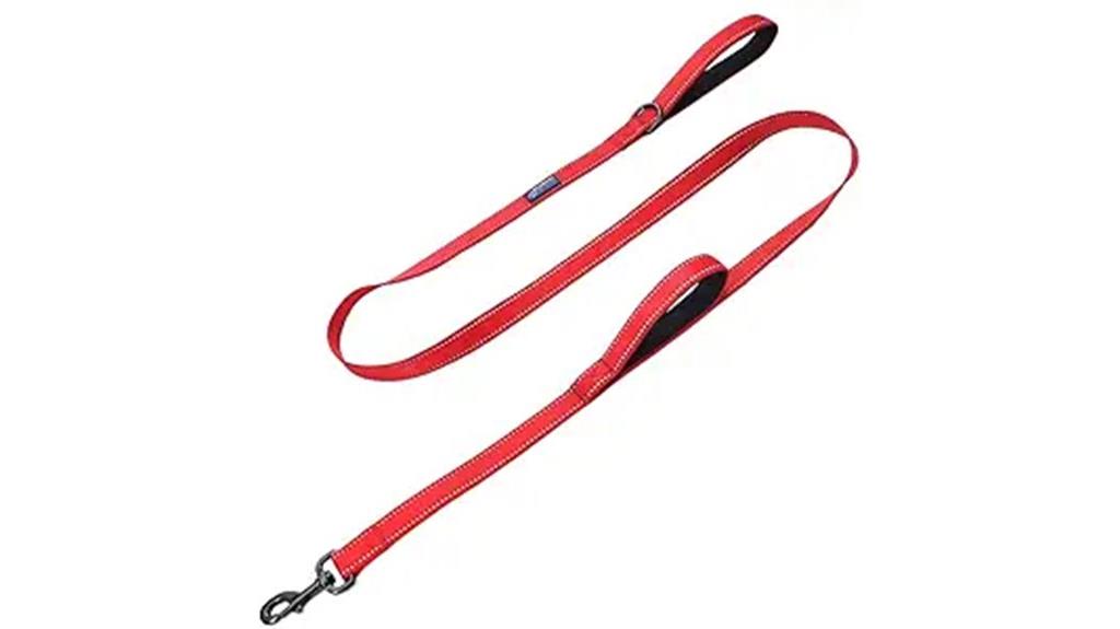 dual handle traffic leash