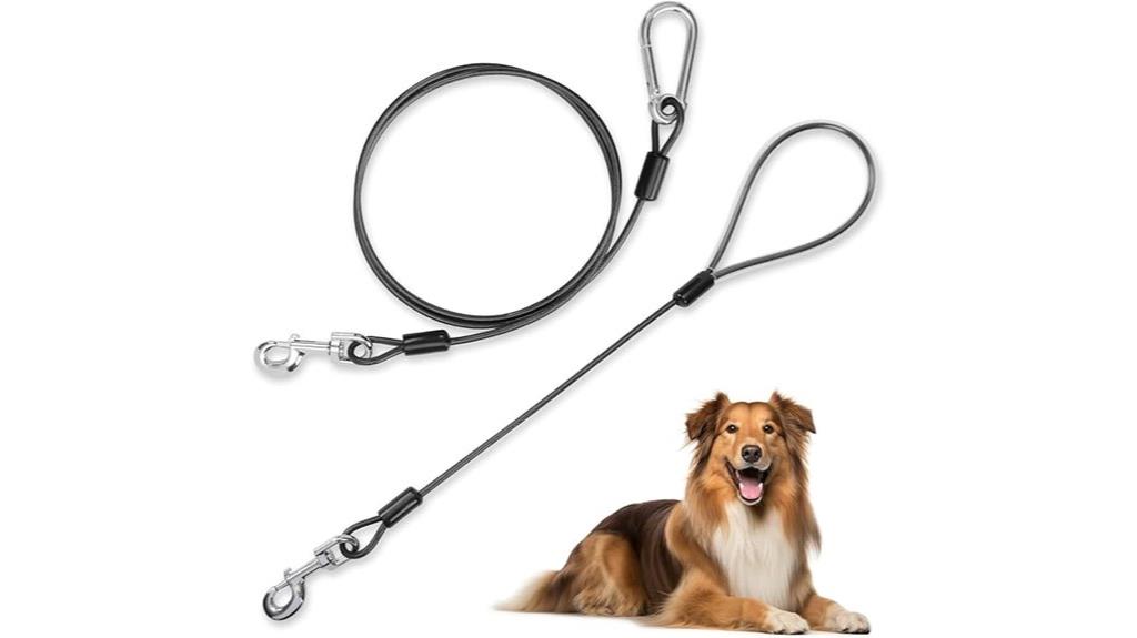 durable 5ft dog leash
