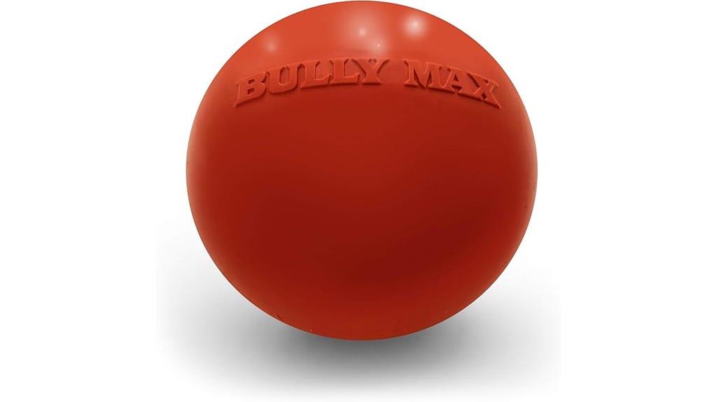 durable aggressive chewer toy