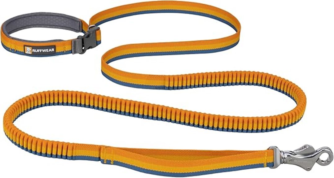 durable bungee dog leash