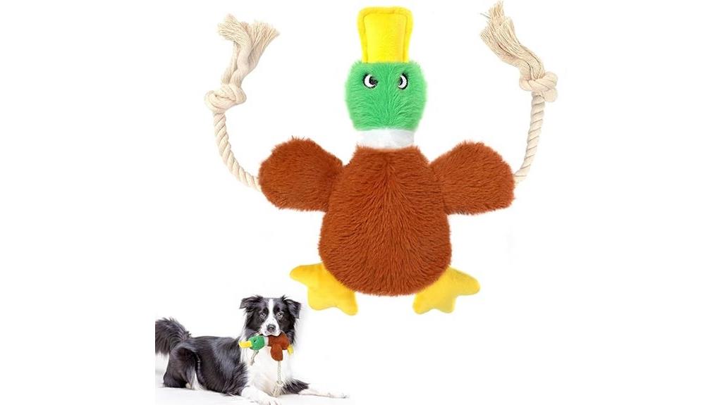 durable chew toys for aggressive dogs