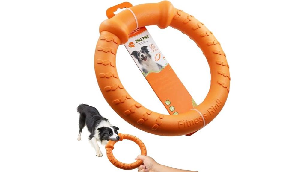 durable chew toys for aggressive dogs