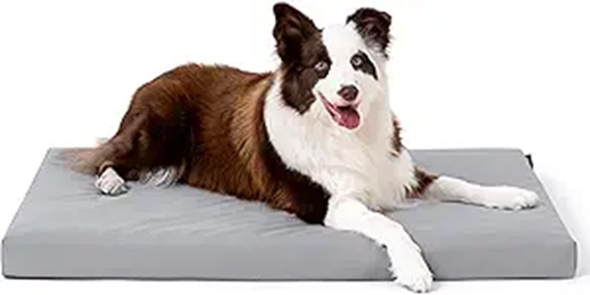 durable large breed bed