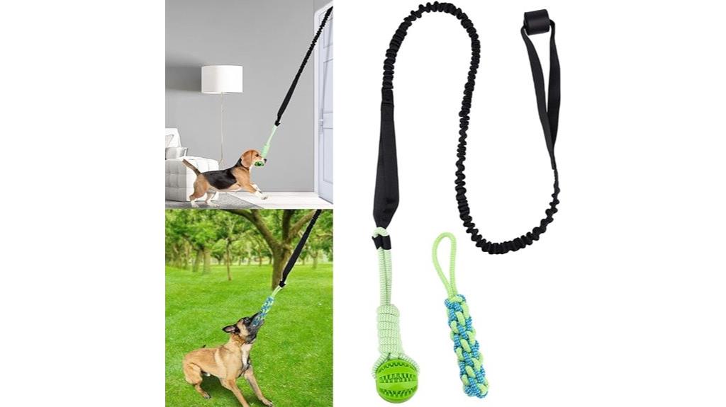 durable spring pole toy