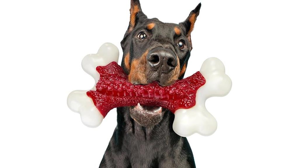 durable toys for big dogs