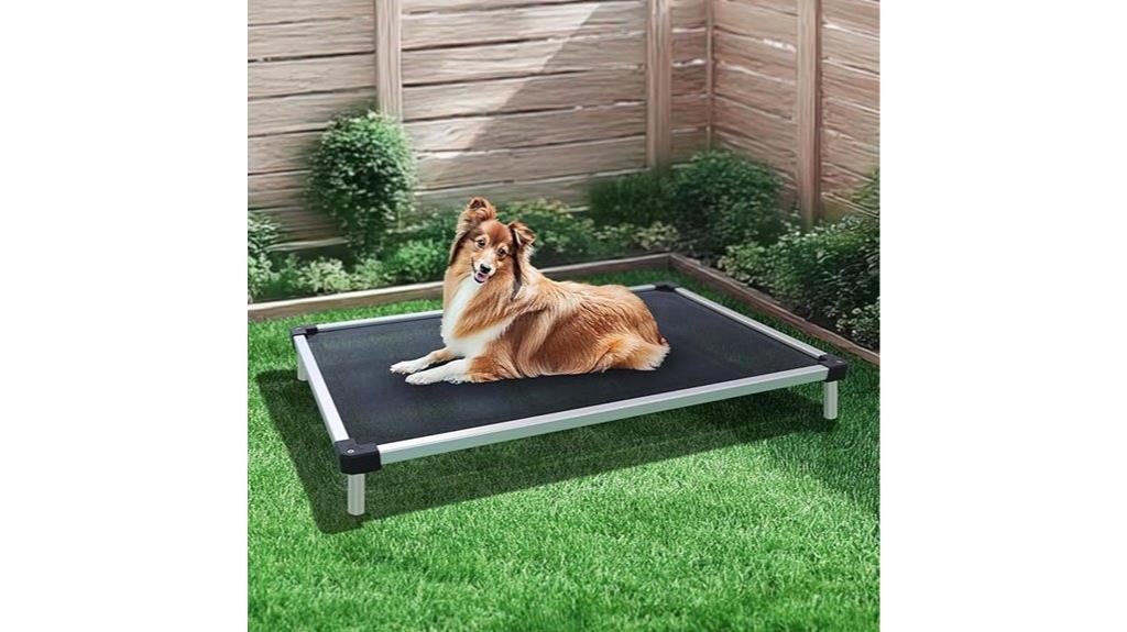 elevated dog bed