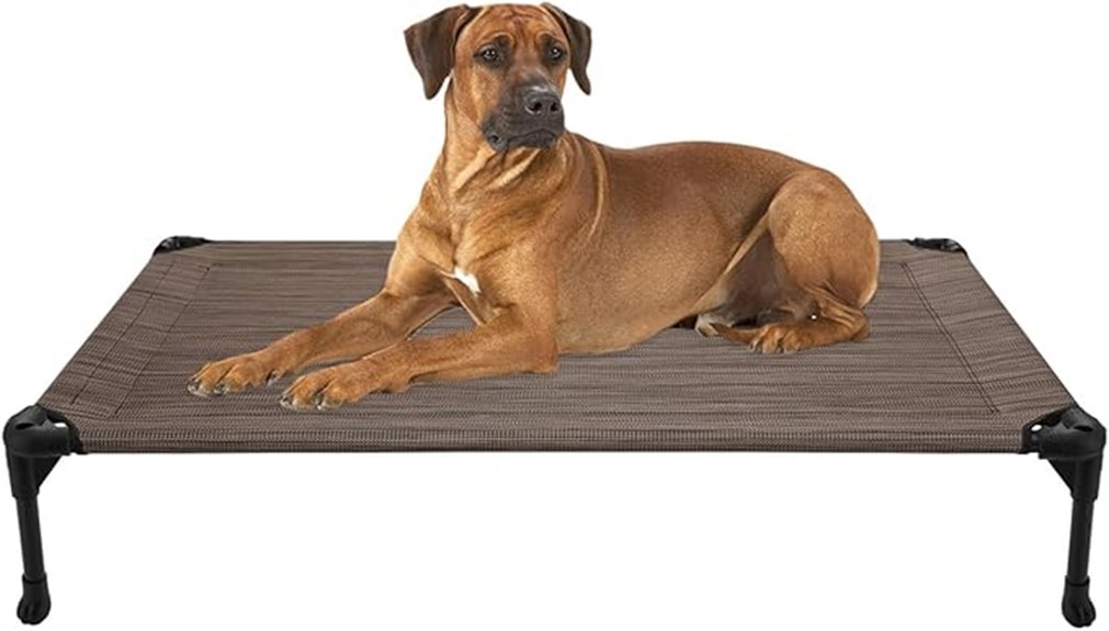 elevated dog cot bed