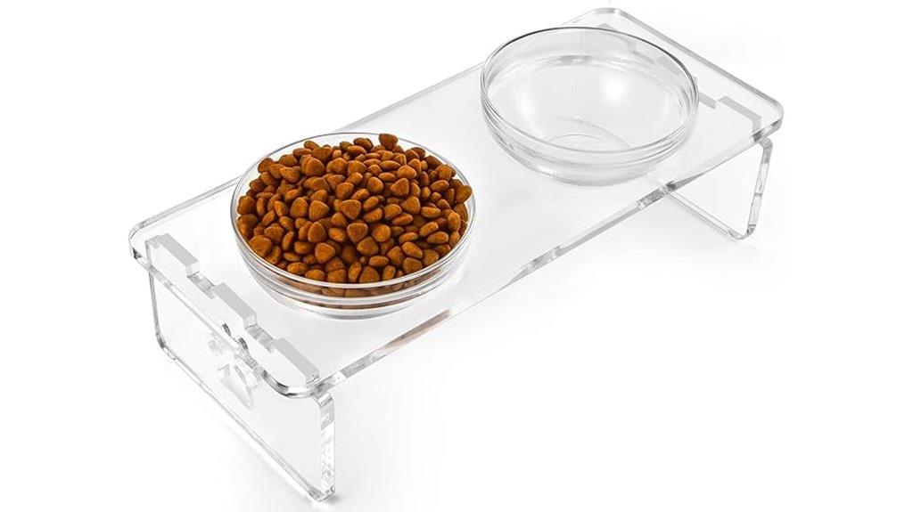 elevated pet bowl set