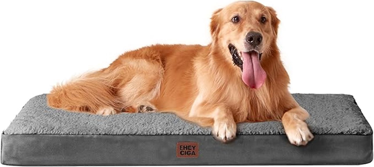 extra large orthopedic dog bed
