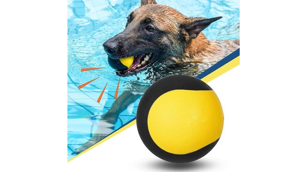 floating squeaky dog toy
