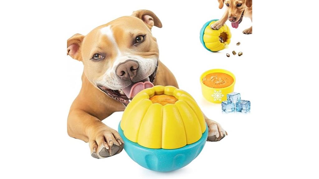 frozen dog toy enrichment