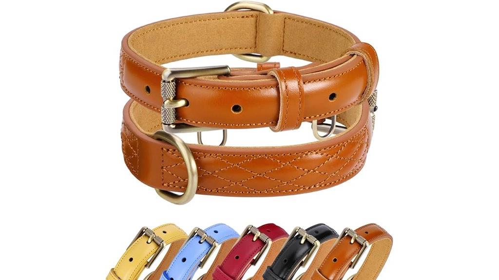 genuine leather dog collar